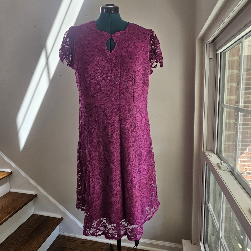 NWOT 14W Roman's Berry Pink Lace Cocktail Dress